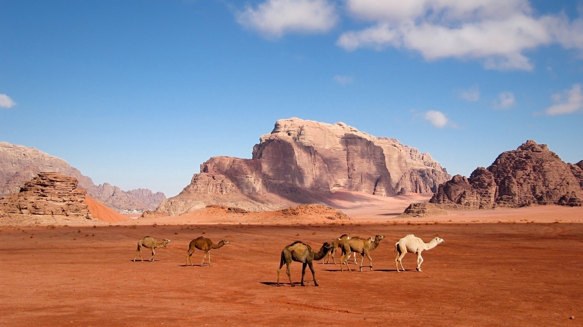 Навколо Йорданії за 8 днів. Індивідуальний екскурсійний тур