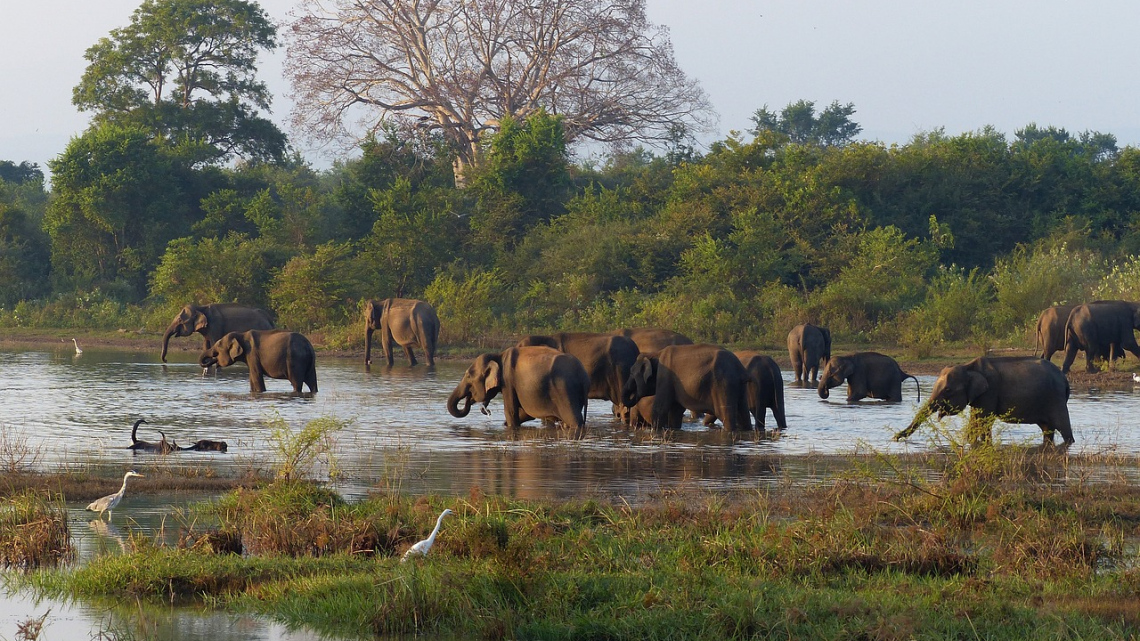 Шрі-Ланка: легенди, океан і вічна краса