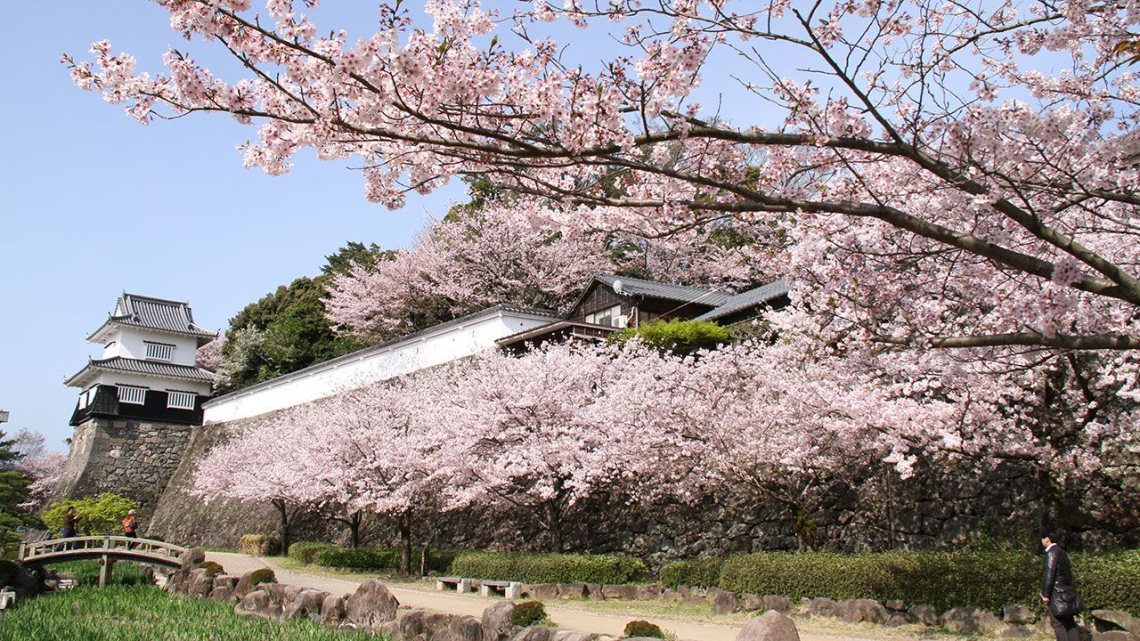 Гарантований тур. Оглядовий тур Японією