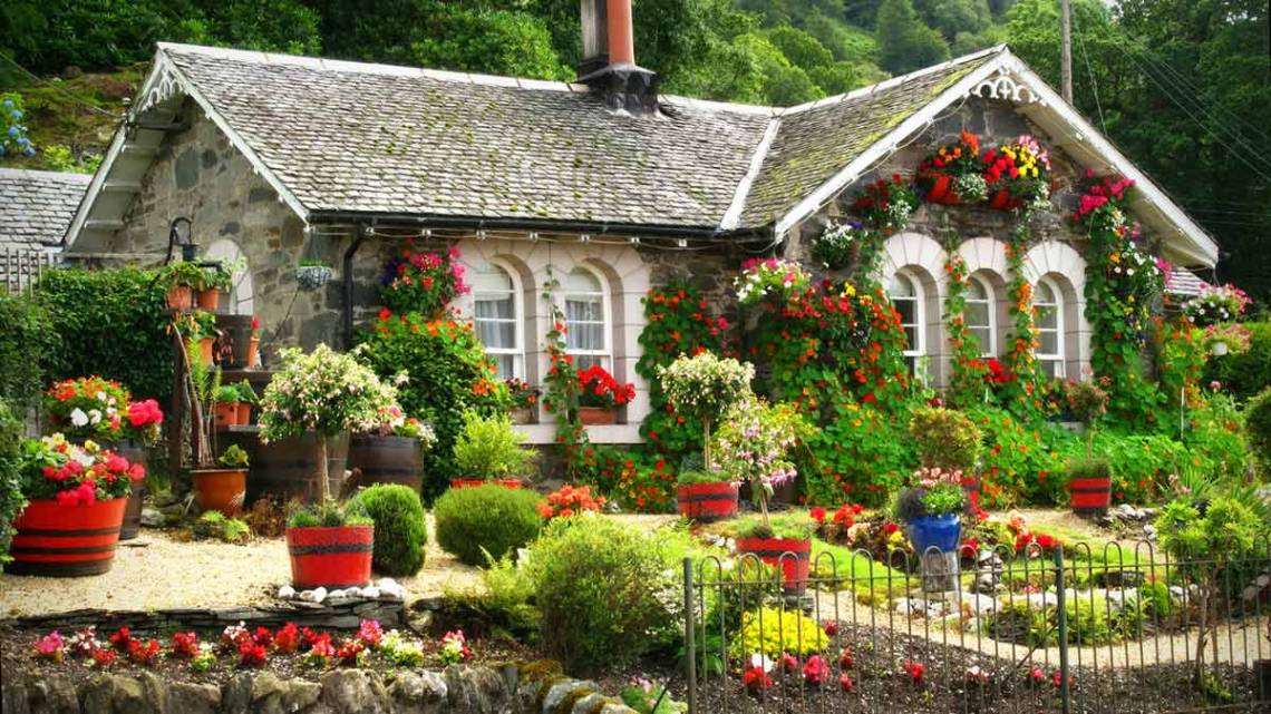 	Шотландія - FREEDOM (Глазго-Единбург)	