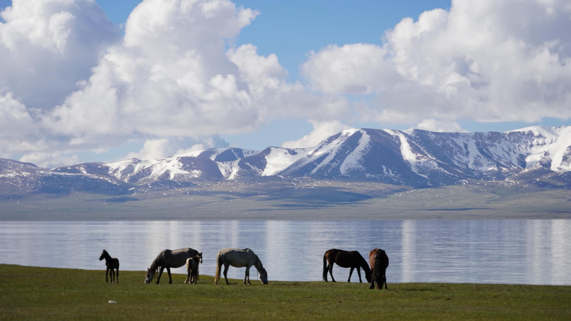 Гарантований тур. Terra Азія: Казахстан + Киргизстан