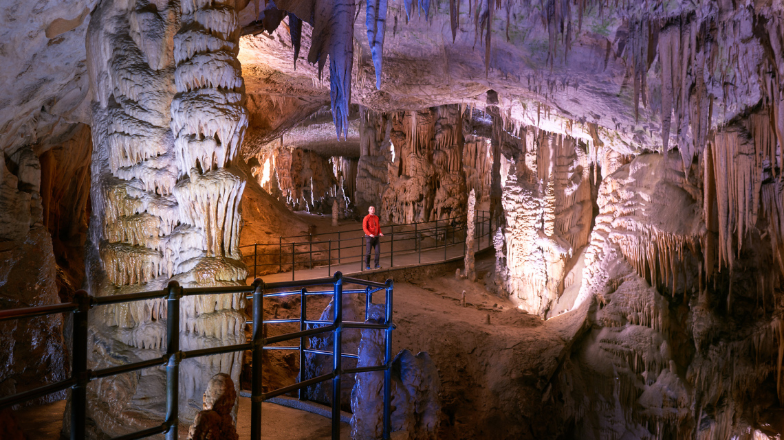 Словенія - діамант Європи. Від Альп до Адріатики
