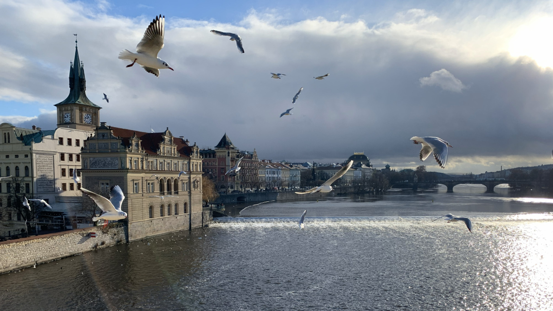 Чеські етюди. Український контекст