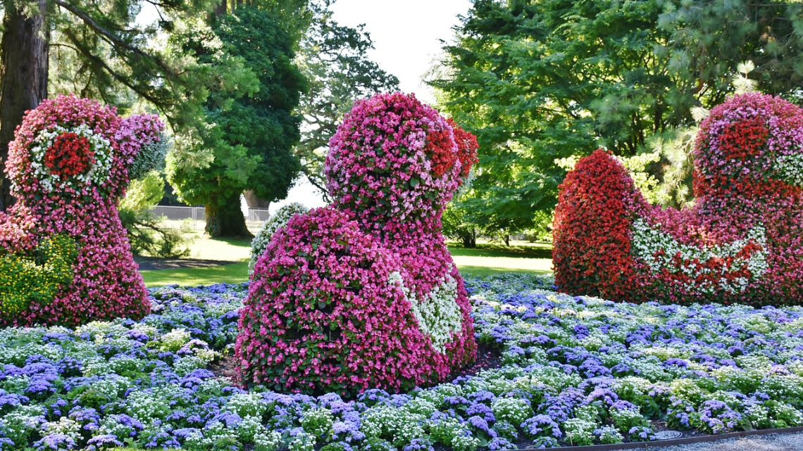 Весна на острові Майнау