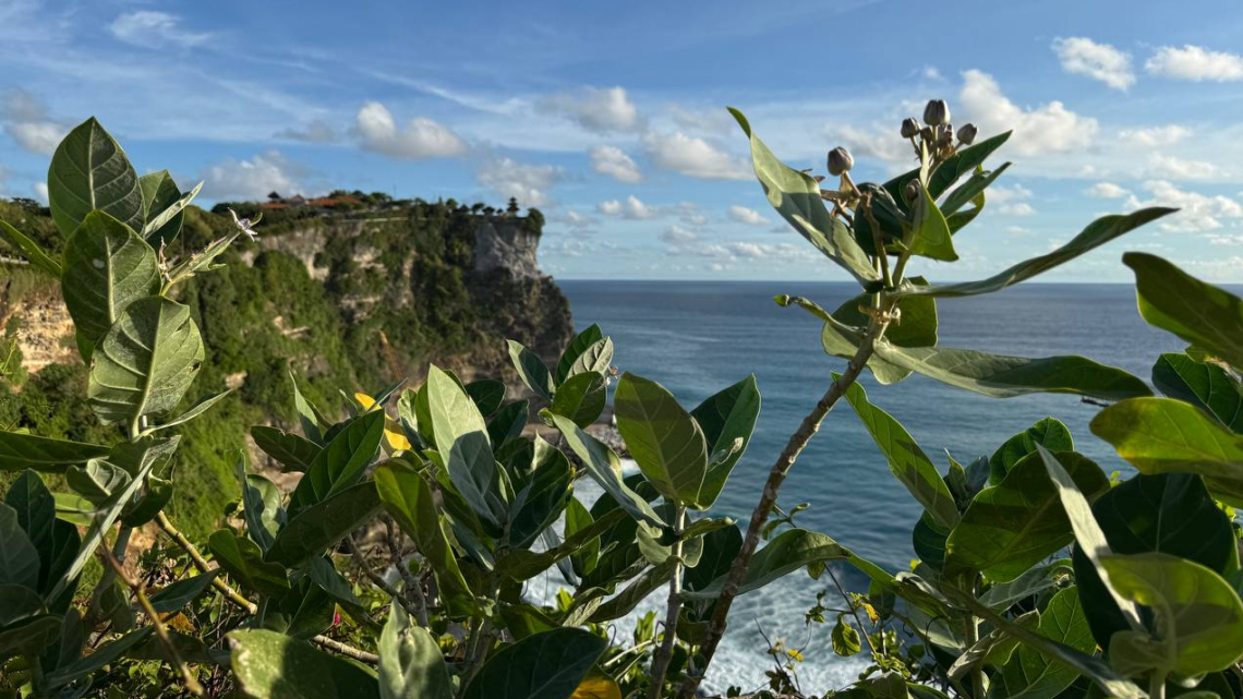 Чарівність Азії: Сінгапур, Індонезія, Малайзія