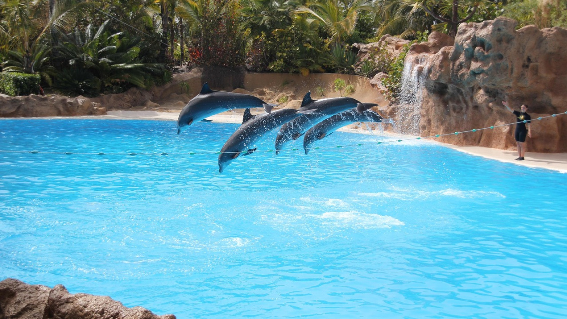 Тенеріфе - острів контрастів