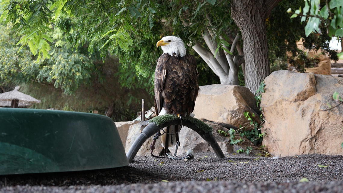 Тенеріфе - острів контрастів