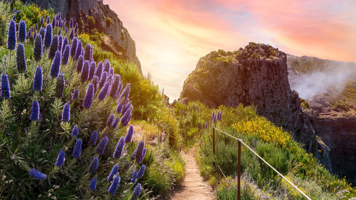 Канікули на Мадейрі. Груповий екскурсійний тур (міні-група)