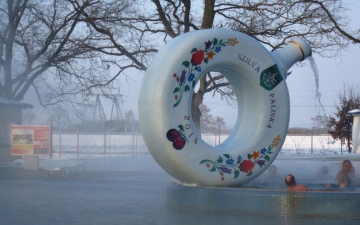  Закарпатська феєрія