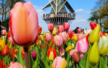 Париж чи Амстердам? Весняні хіти Феєрії, відкрито раннє бронювання на 2026 рік