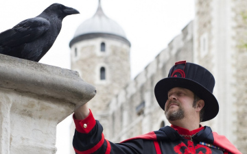 Сезон-2026 на Британських островах: відкрито раннє бронювання