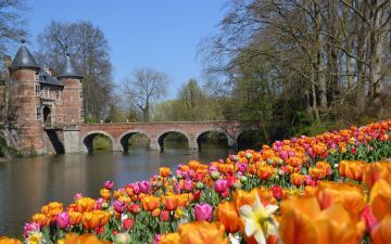 Ланцюжок турів до Нідерландів та Бельгії! Квітковий рай навесні, Велика Голландія, витончена Фландрія