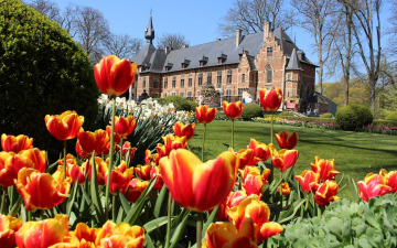 Квітковий дует: Бельгія + Нідерланди. Авіатур