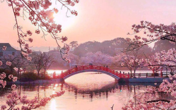 Экзотическая Азия – Япония! Ищем женское подселение, вылет 04.04