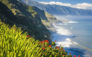 Канікули на Мадейрі, знижка до 100 євро!