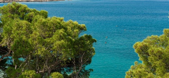  Valamar Meteor Hotel 4*. Макарска