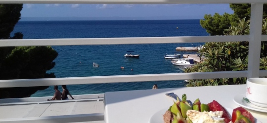 Dalmacija Sunny Hotel by Valamar 3*. Макарска