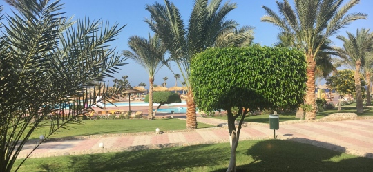 The Three Corners Sea Beach Resort 4*. Корая-Бэй