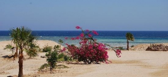 The Three Corners Fayrouz Plaza Beach 5*. Марса-Алам