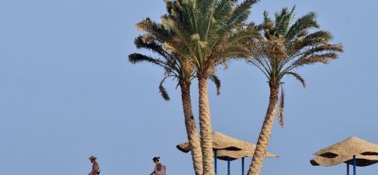 Solymar Reef Marsa 4*