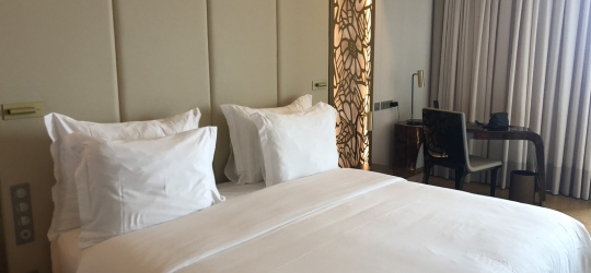 Savoy Palace 5*